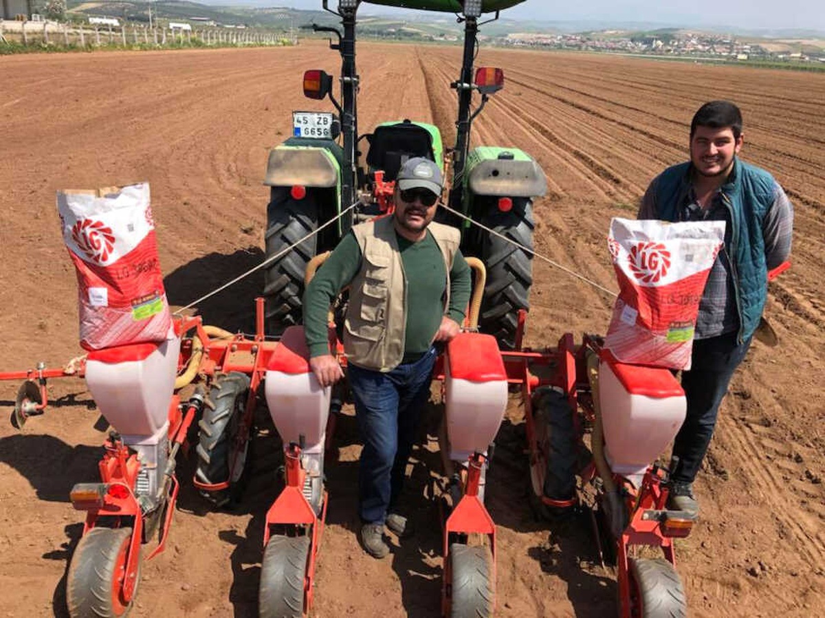Manisa\'da \'Beyaz Altın\' Toprakla Buluşuyor
