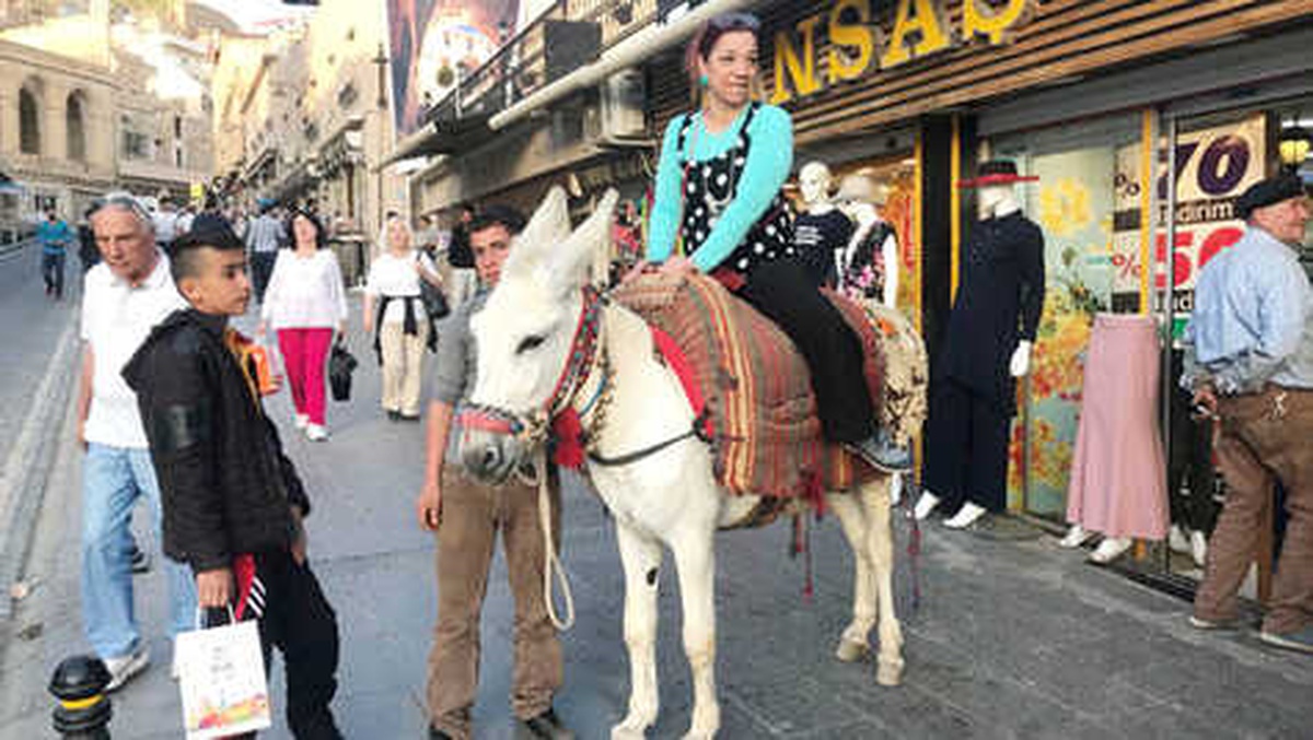 Mardin\'in Kadrolu Eşekleri Turizmin de Hizmetinde