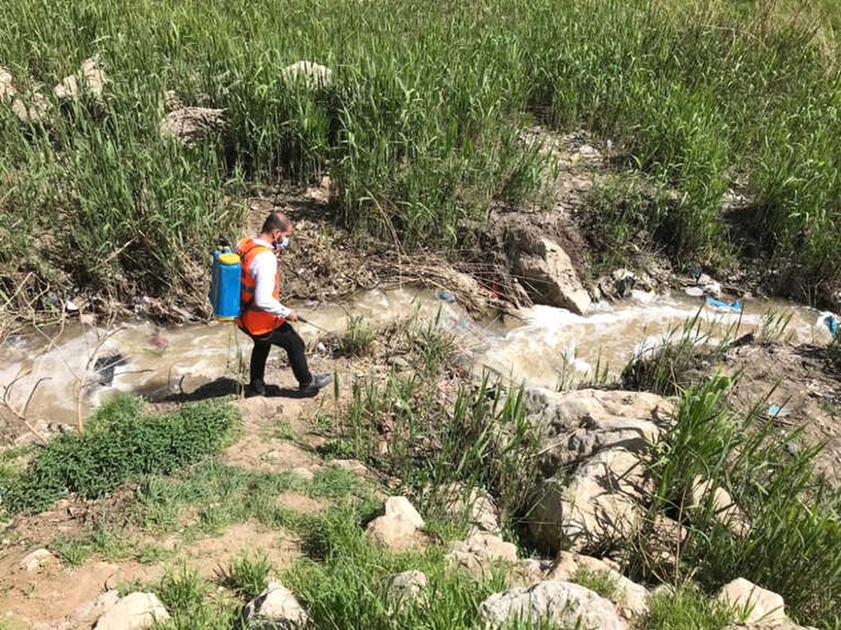 Şırnak\'ta Larvalara Karşı İlaçlama Çalışması Başlatıldı