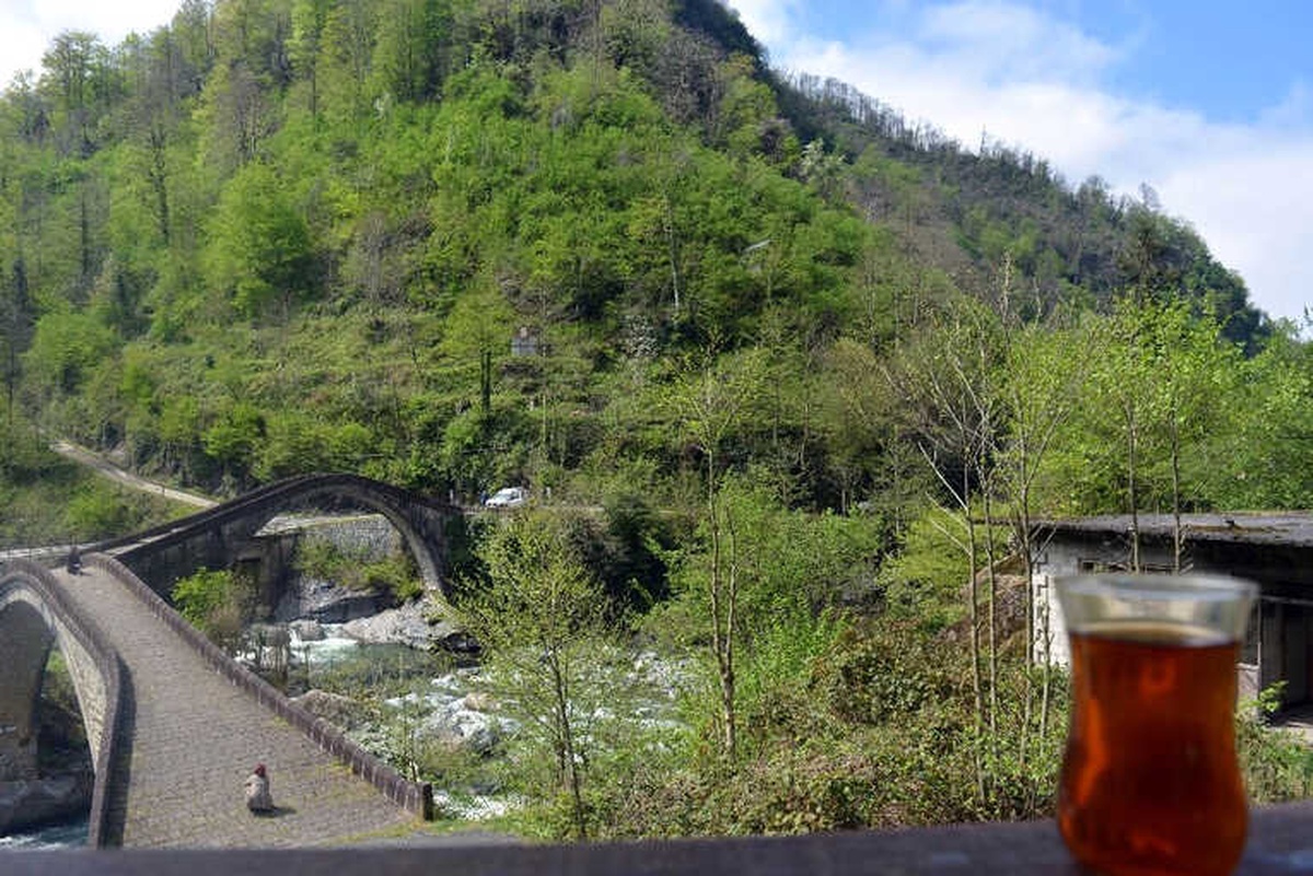 Türkiye\'nin Havası En Temiz İli Artvin Oldu