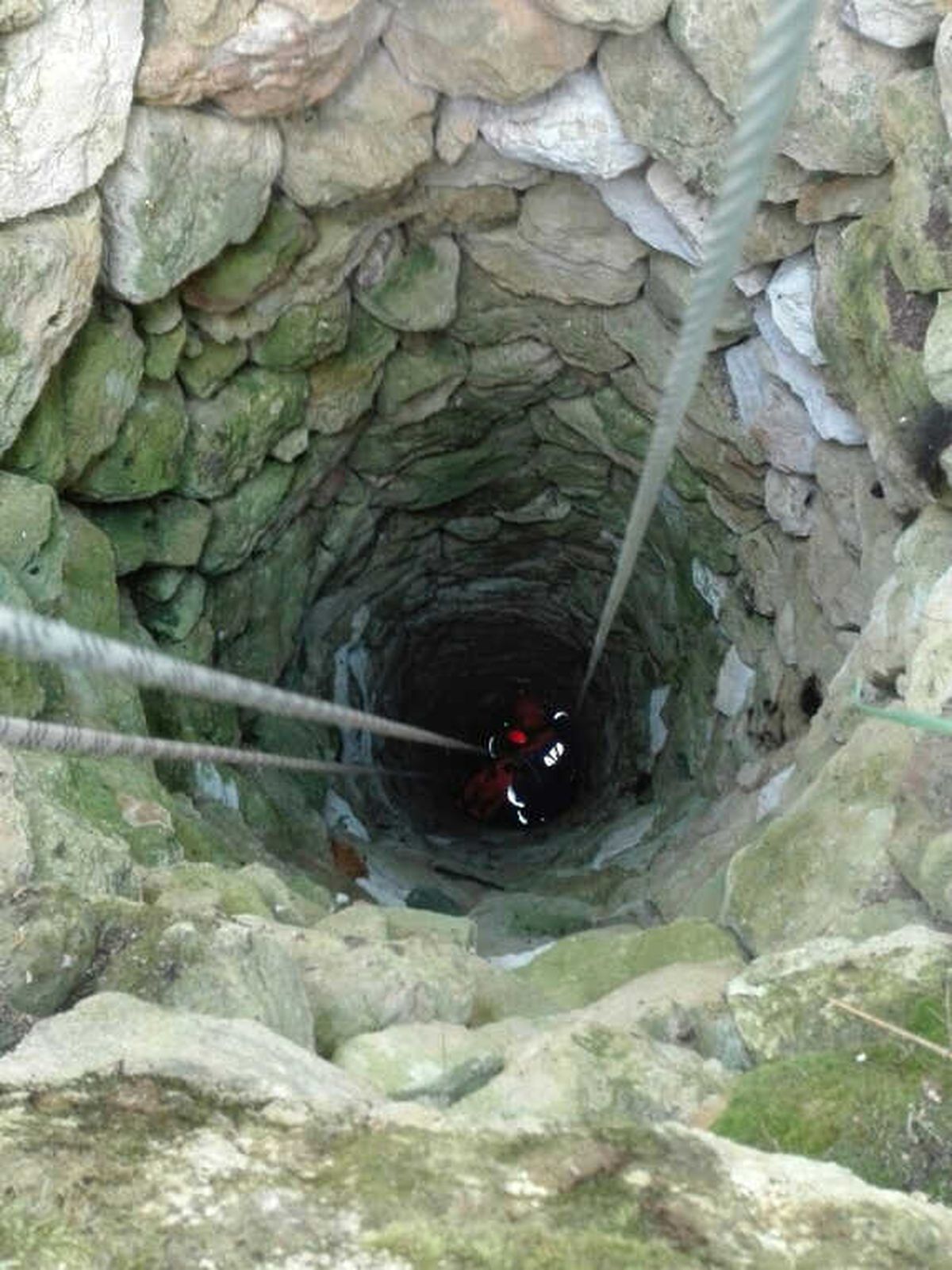 15 Metrelik Kuyuya Düşen İneği Afad Ekipleri Kurtardı