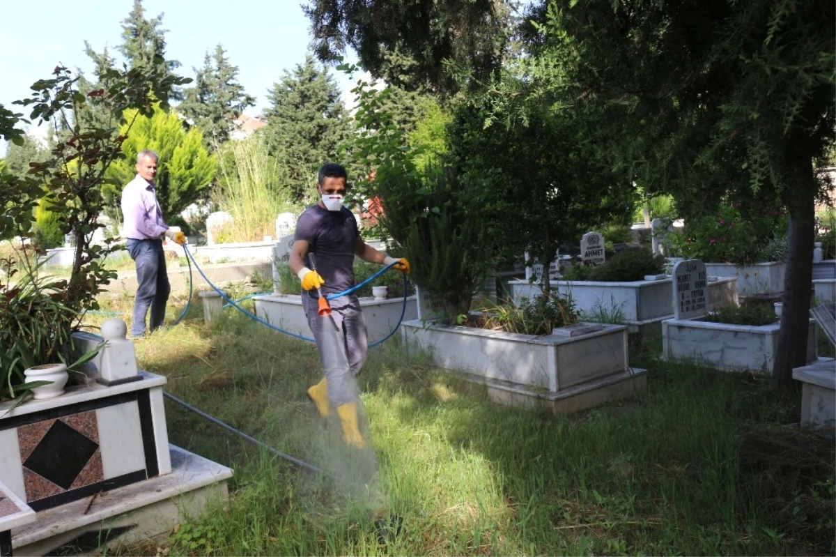 Alanya\'da Mezarlıklara Bahar Bakımı
