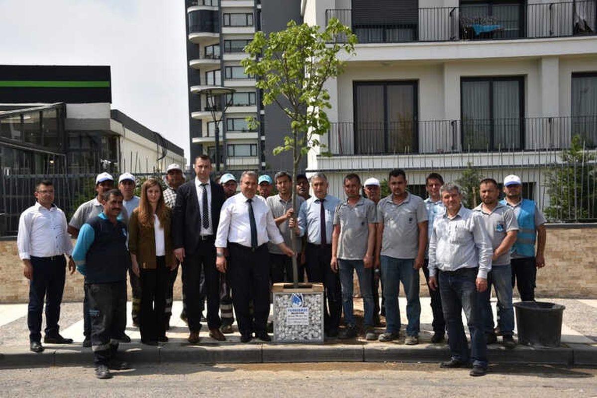 Bu Sokak Ihlamur Kokacak