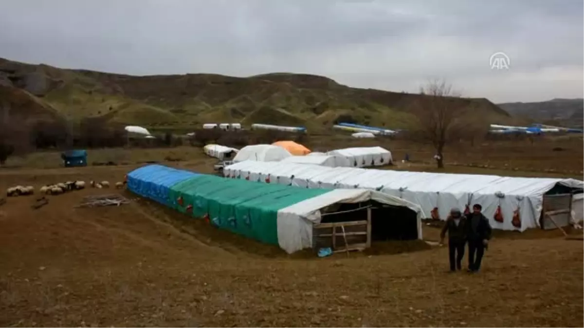 Göçerlerin Huzurlu Yayla Yolculuğu Başladı