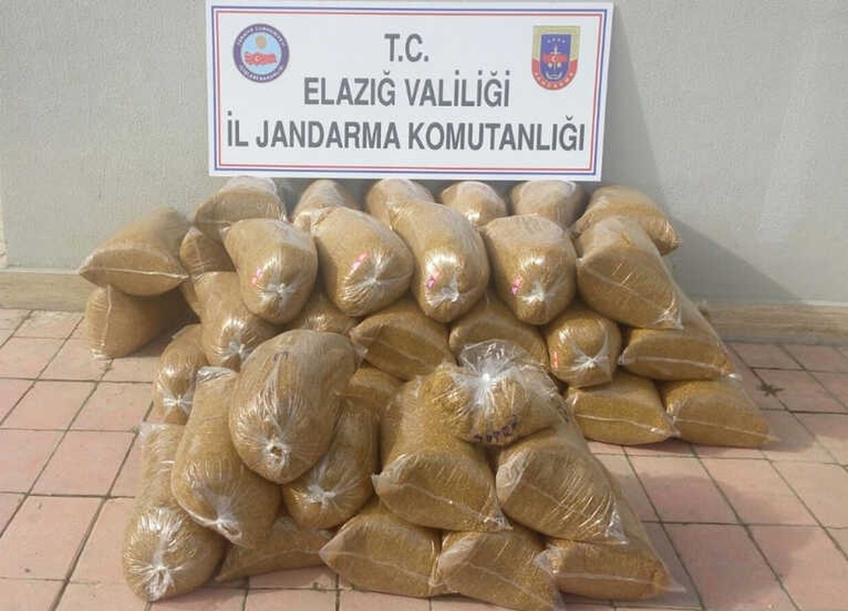 Jandarmadan Şok Uygulama, 288 Kilo Tütün Ele Geçirildi