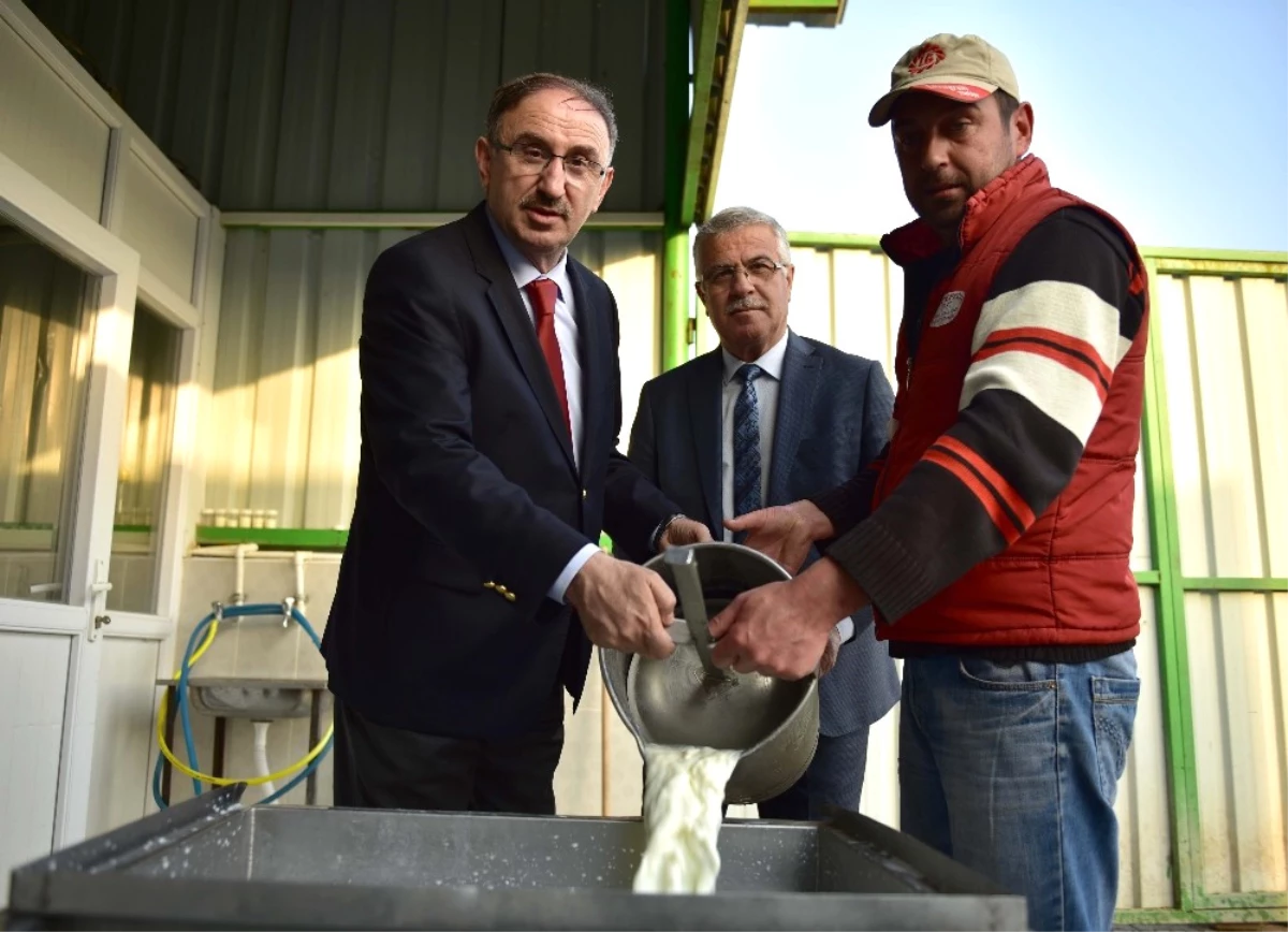 Kırsaldaki Süt Üreticilerine 450 Bin TL\'lik Katkı
