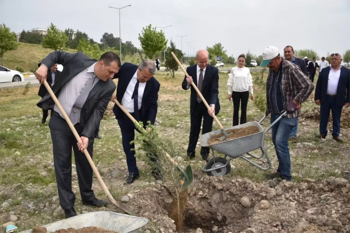 Mcbü Muradiye Yerleşkesi Yunusemre ile Ağaçlandırıldı