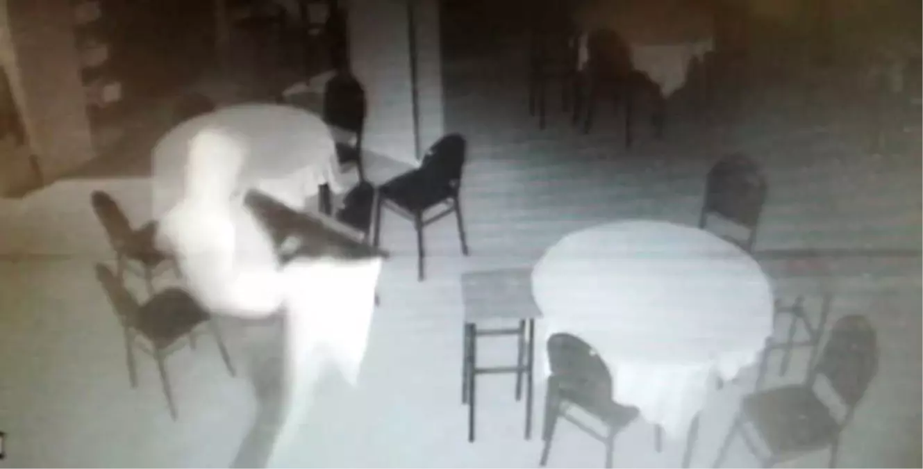 Kocaeli\'de Mahallelinin Korkulu Rüyası Hırsızlar Esnafı İsyan Ettirdi