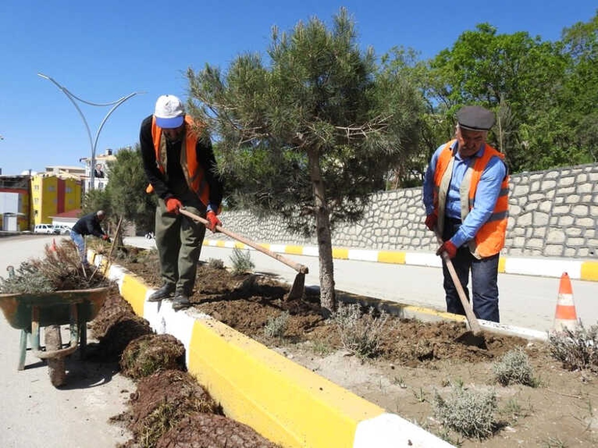 Şırnak Belediyesi, Refüj Düzenleme Çalışması Başlattı