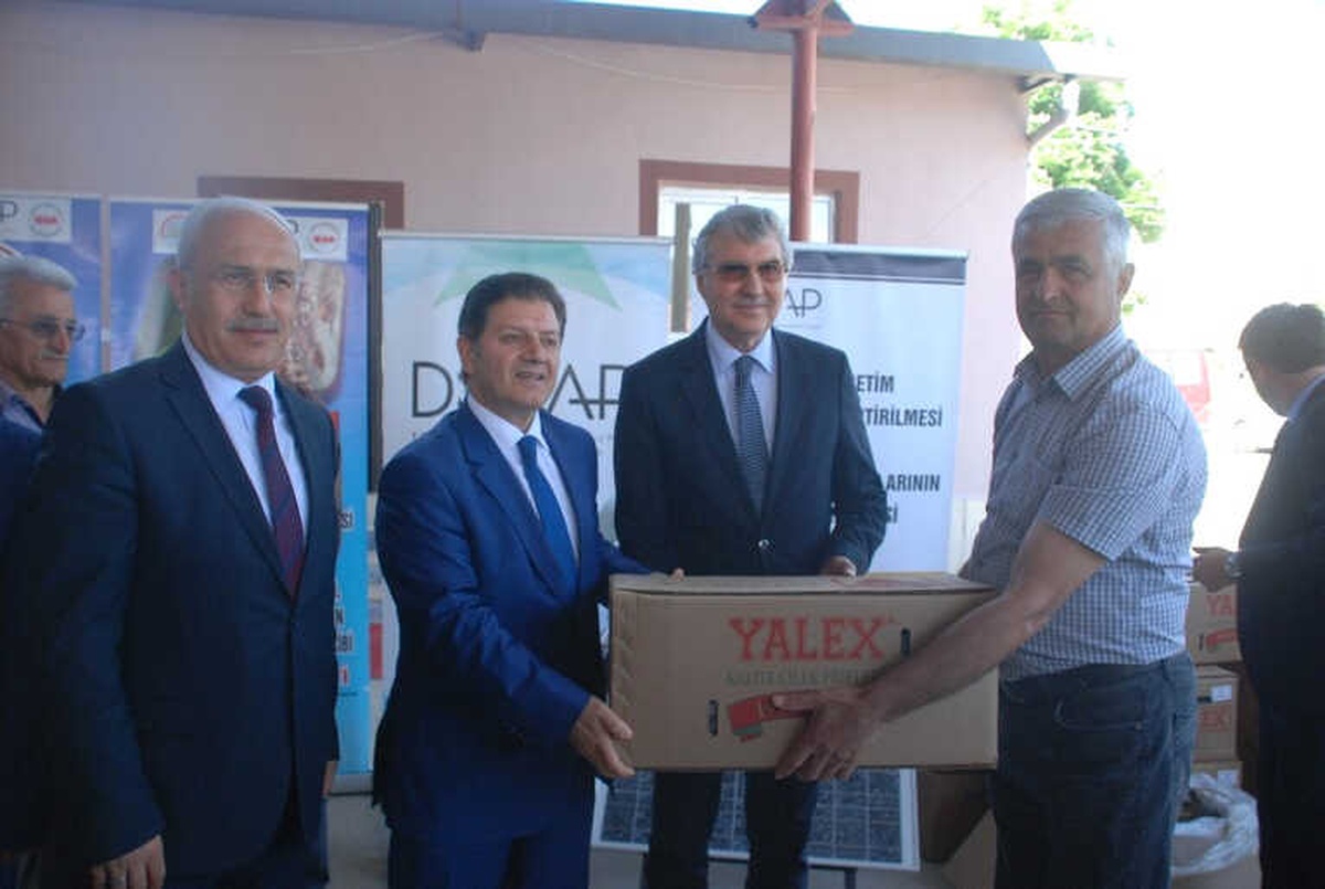Tokat\'ta, Çilek Tarımının Geliştirilmesi Projesi