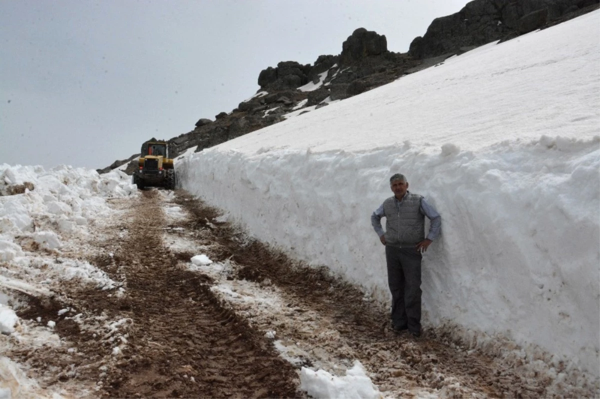 Trabzon\'da Yayla Yolları Ulaşıma Açılıyor