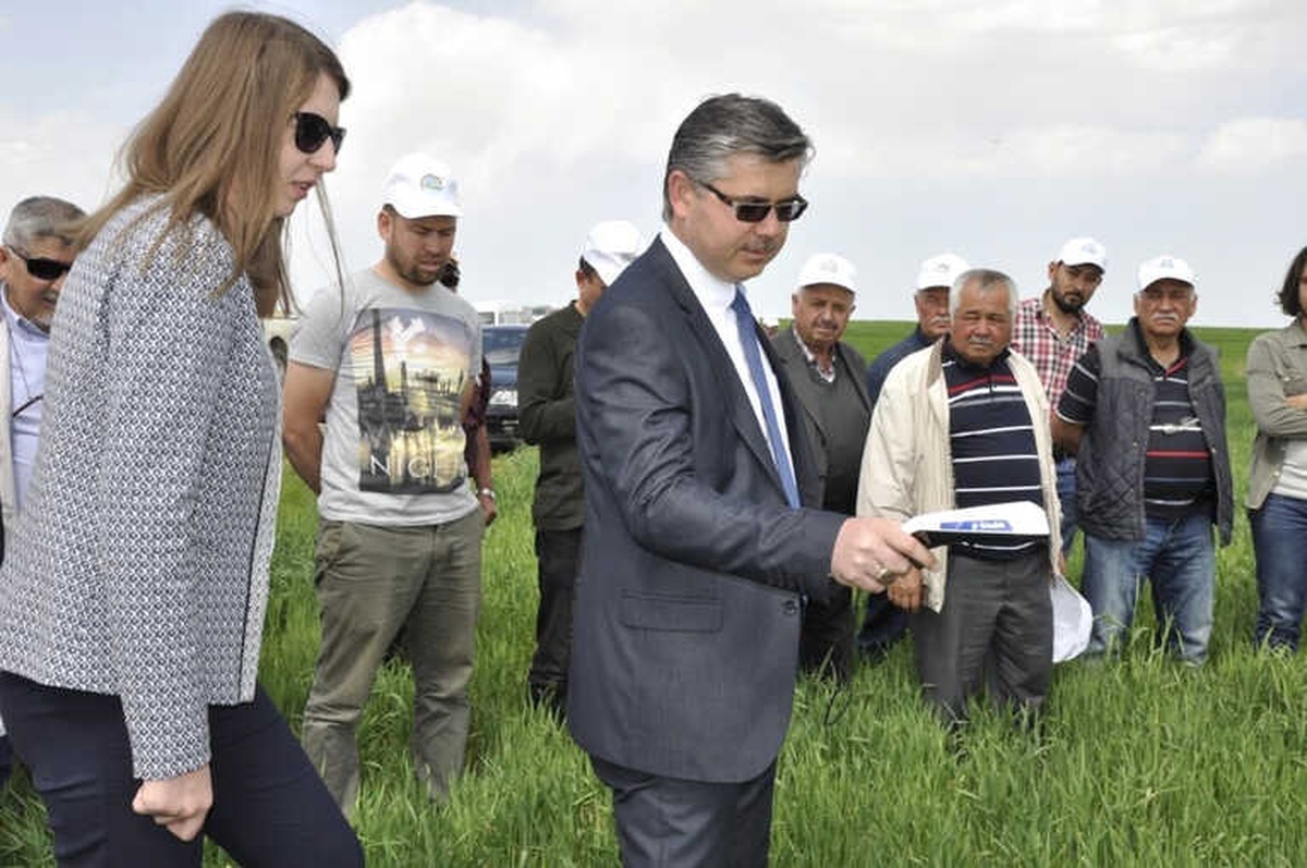 Akıllı Azotlu Gübreleme Yayım Projesi Kapsamında Tarla Günü Etkinliği