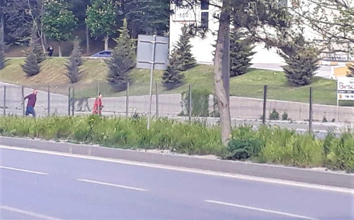 Canlarını Hiçe Saymaya Devam Ediyorlar