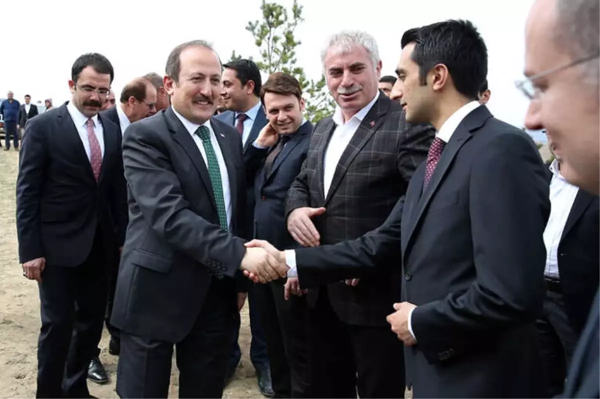 Fırat Kalkanı ve Zeytin Dalı Harekâtı Şehitleri İçin Hatıra Ormanı Oluşturuldu