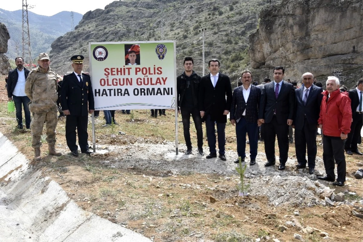 Gümüşhane\'de Şehit Polis Olgun Gülay Anısına Hatıra Ormanı Oluşturuldu