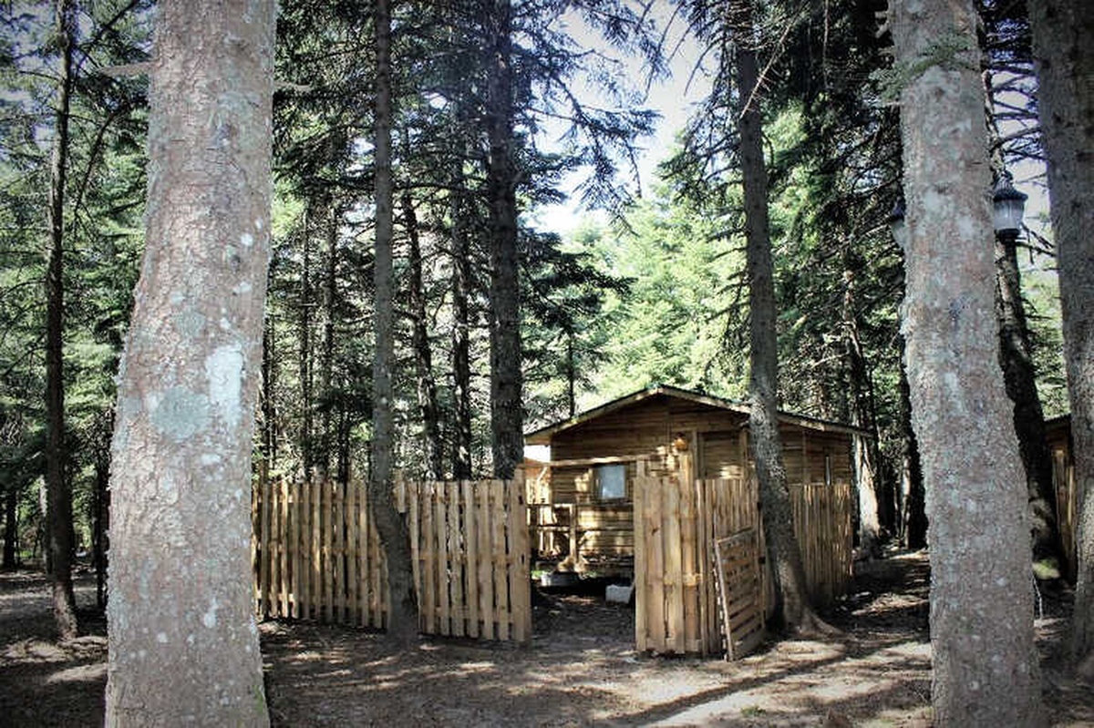 Günlük 22 Liraya Uludağ\'da 5 Yıldızlı Tatil Başlıyor