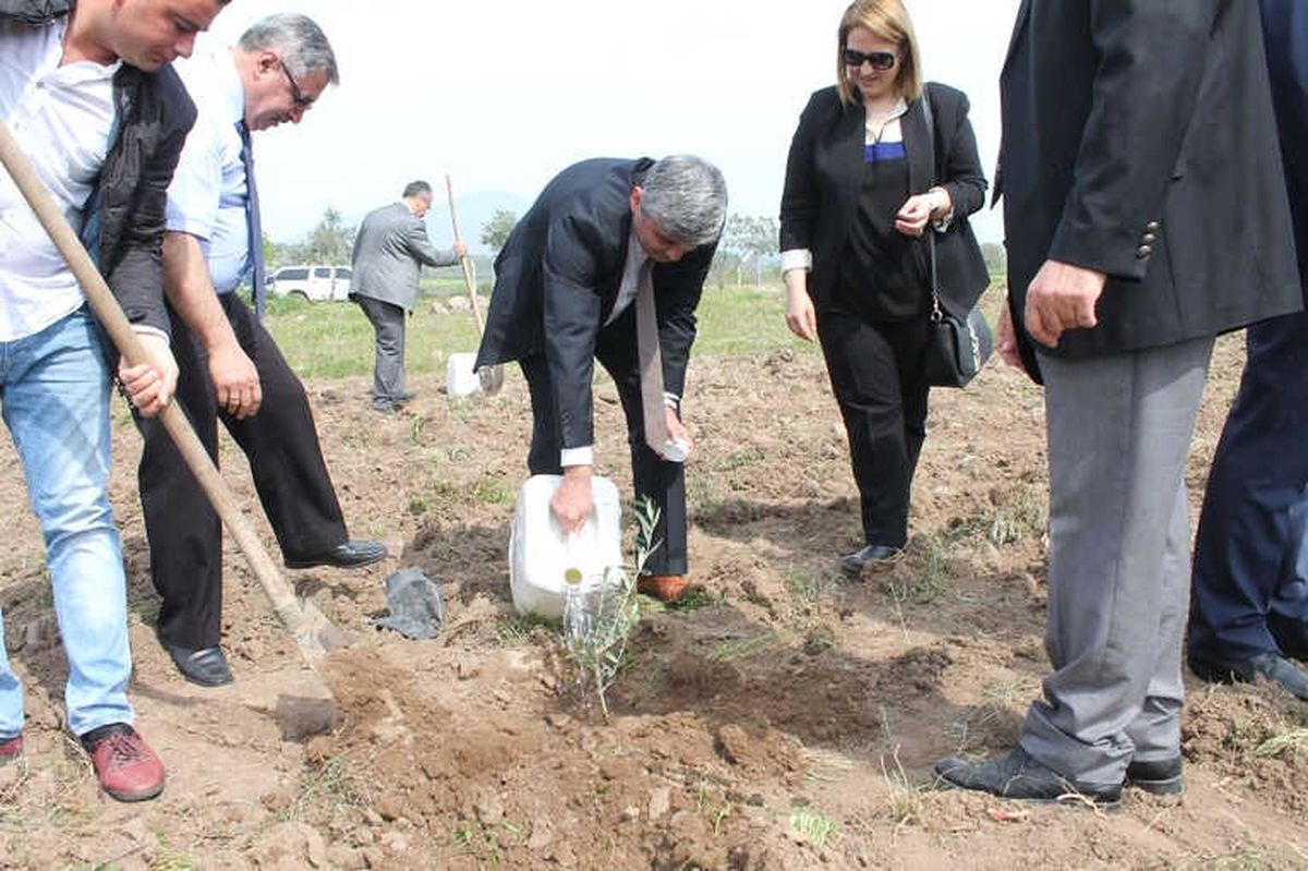Manisa\'da Fidanlar Yeşeriyor
