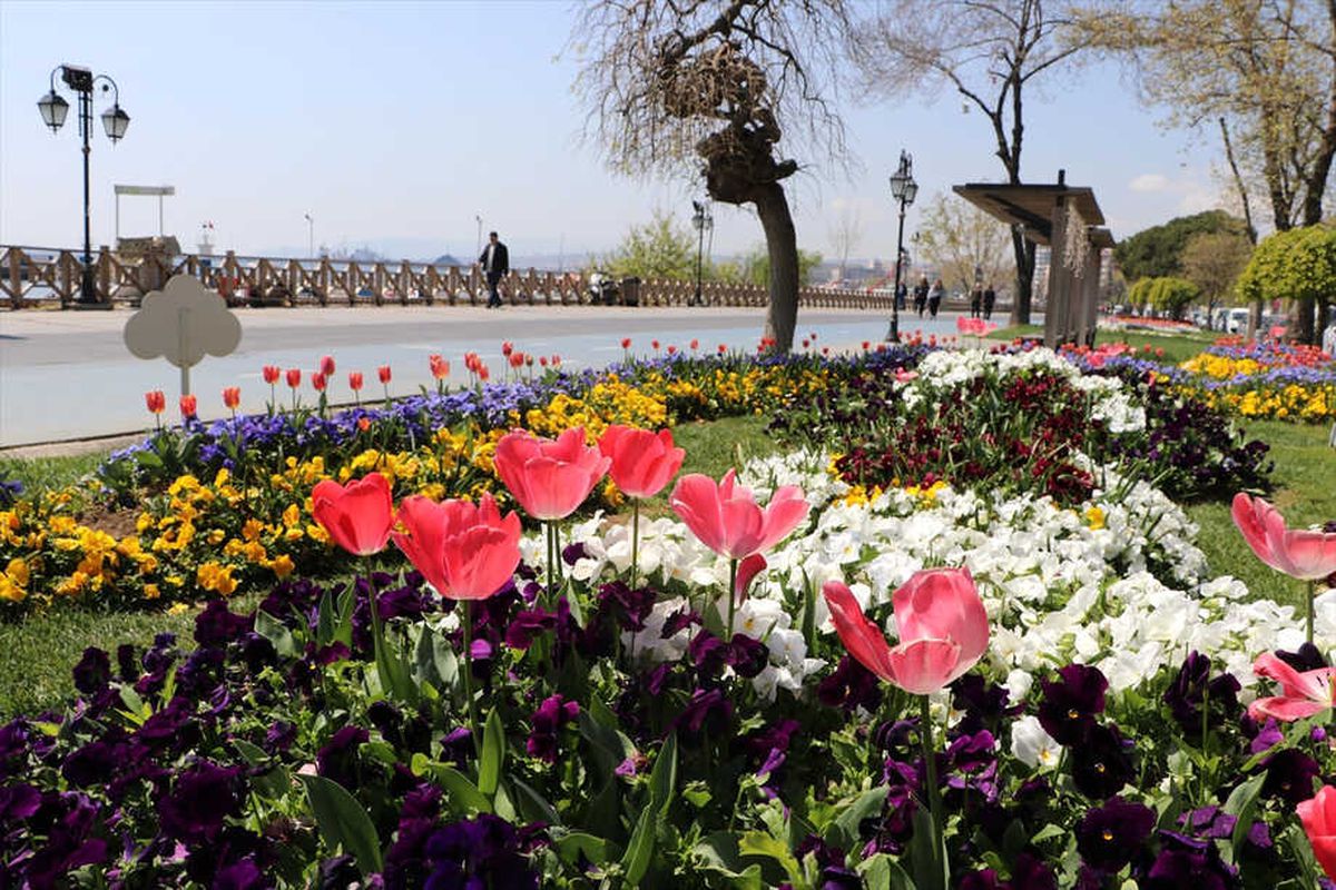 Mavi Gözlü Kent"Te Lale Zamanı