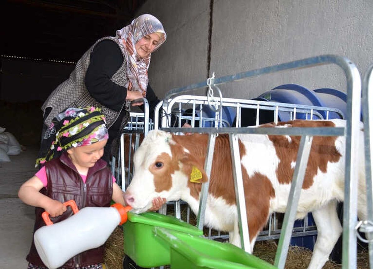 Minik Meryem\'in Hayvan Sevgisi İmrendiriyor