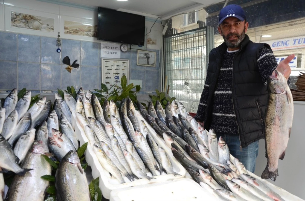 Tezgahları Havuz Balıkları Süslüyor