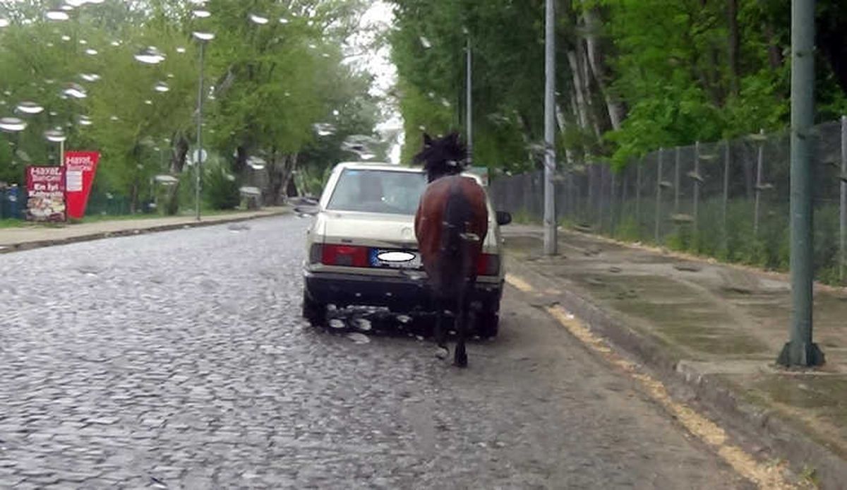 Trafikte Ata İşkence