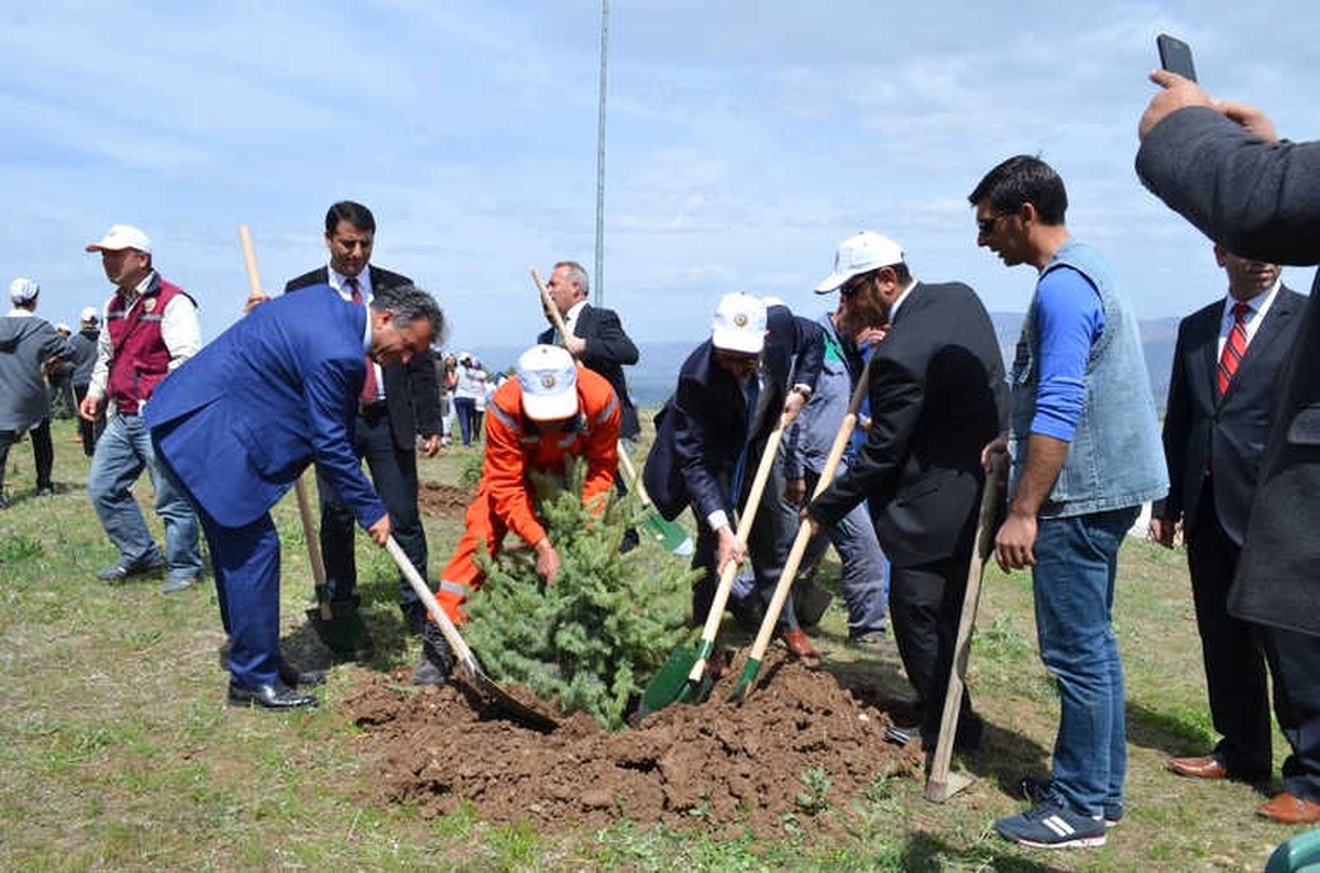 Turizm Haftasında Fidan Dikimi Yapıldı
