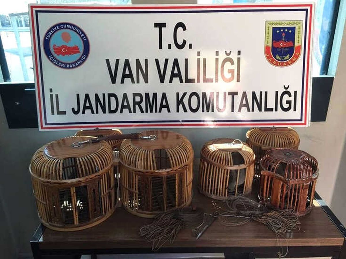 Van\'da Kafes Avcılarına Operasyon