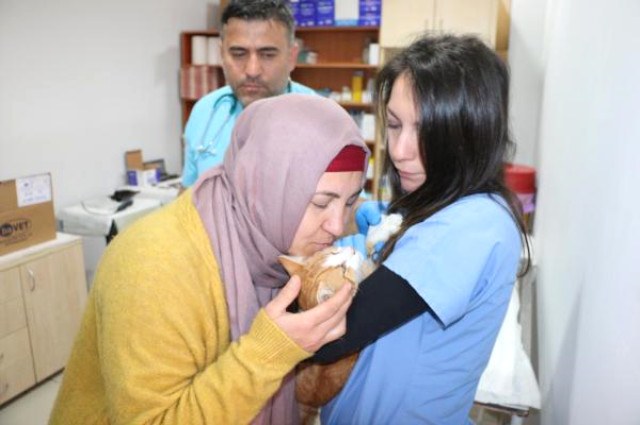 Yaşaması Mucize Zonguldak’ta Kimliği Belirsiz Kişiler Kediye Tecavüz