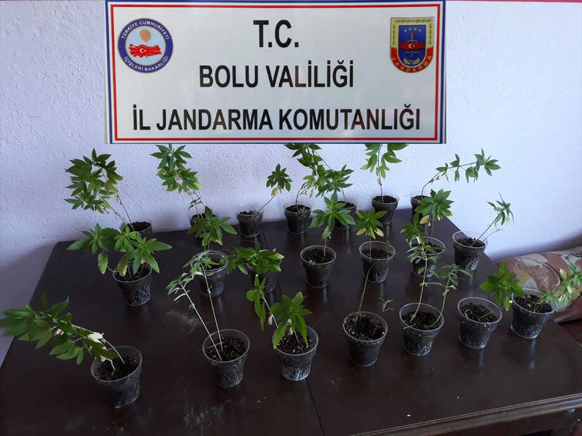 Bolu\'da Kaçakçılık ve Uyuşturucu Operasyonu