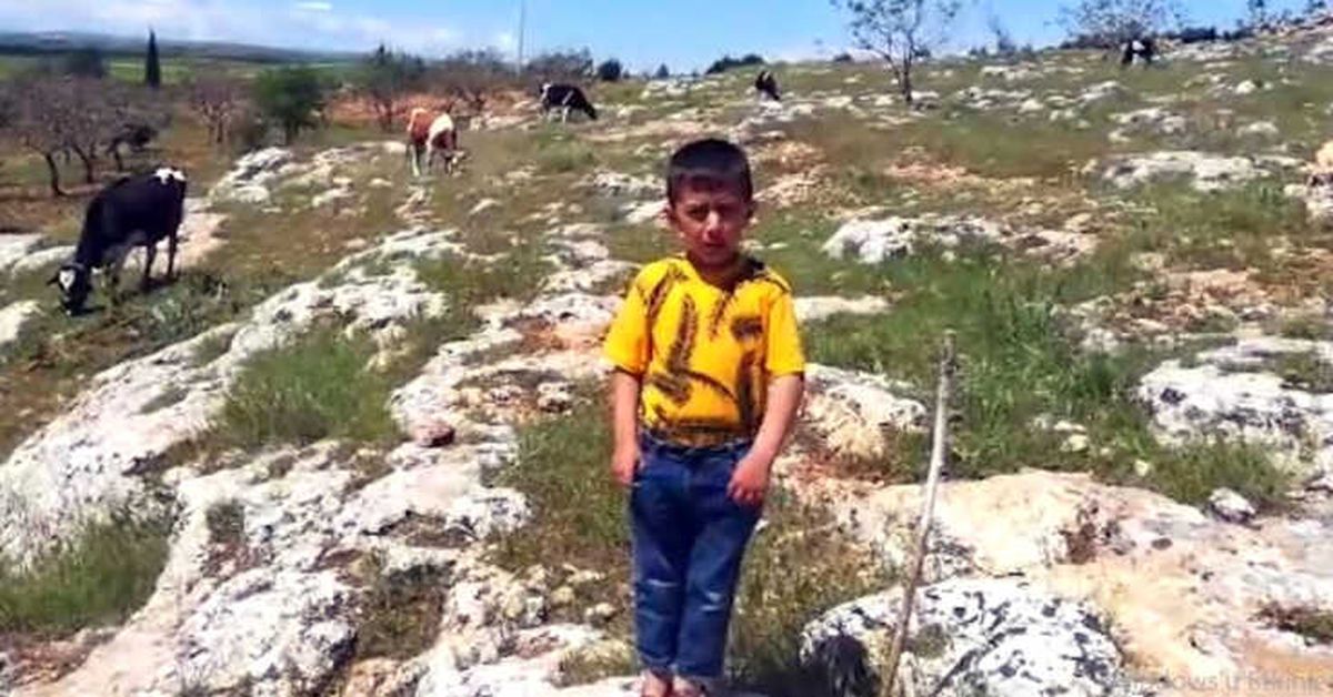 6 Yaşındaki Çobandan 23 Nisan Şiiri