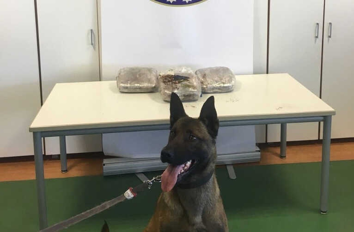 Kamyonette 5 Kilo 750 Gram Toz Esrar Ele Geçirildi