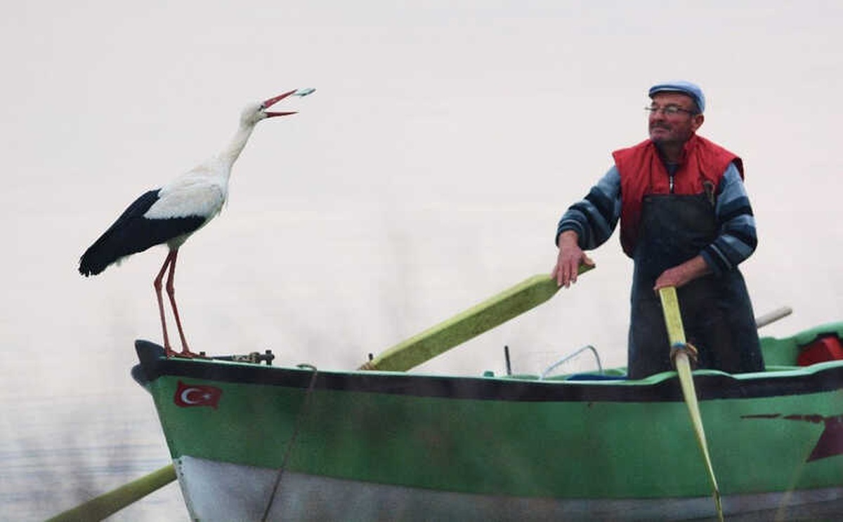 Adem Amca ve Yaren Leylek\'in İlginç Hikayesi Sergiye Konu Oldu