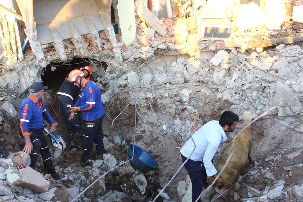 Depremin Yıktığı Evin Altında Kalan 147 Küçükbaş Hayvan Telef Oldu