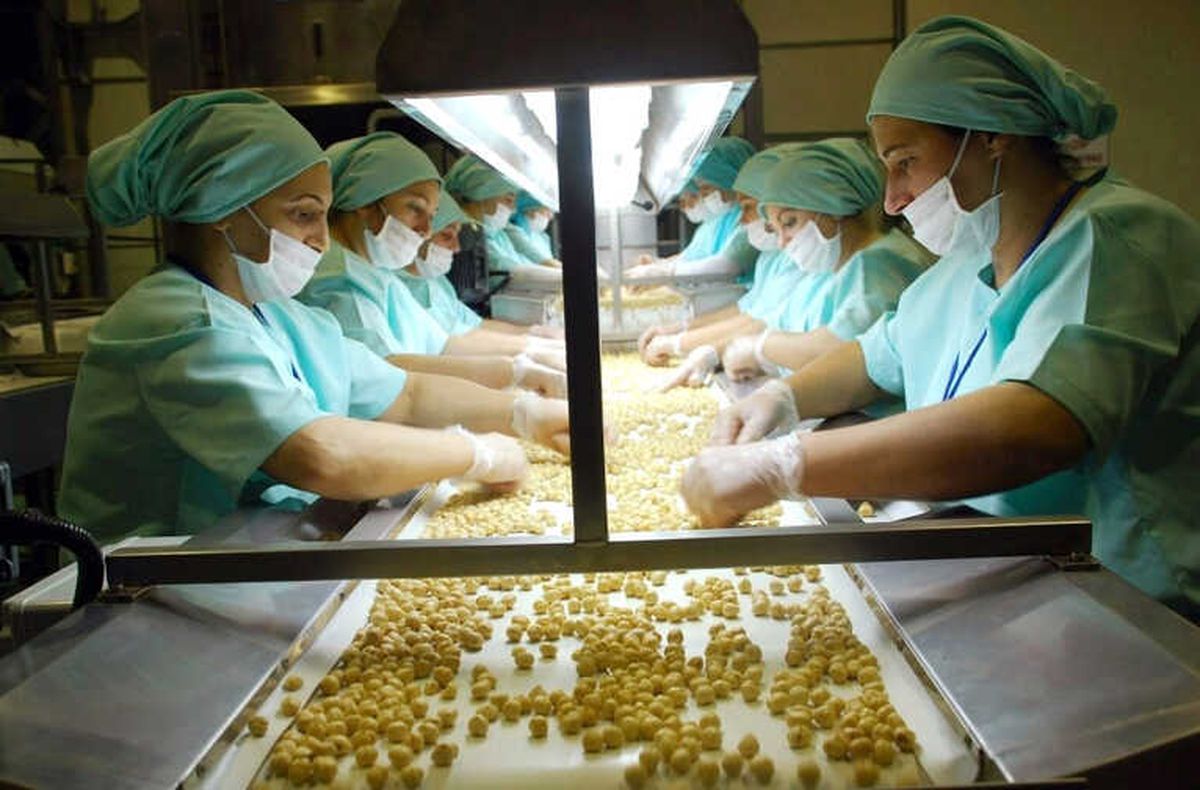Düzce\'den 705 Ton İç Fındık İhraç Edildi