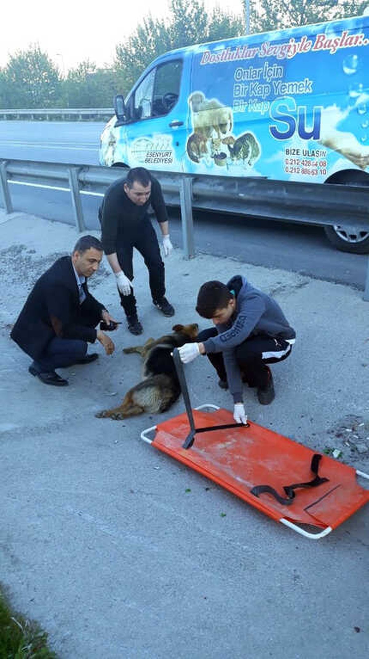 Esenyurt Belediyesinden Yaralı Köpeğe Şefkat Eli