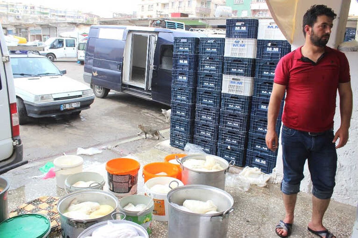Günde 100 Ton Peynir Üretilen Siverek\'te Patentli Üretici Yok