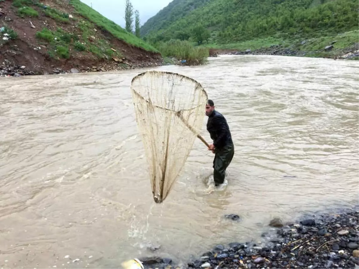 Habur Çayında Tehlikeli Balık Avı