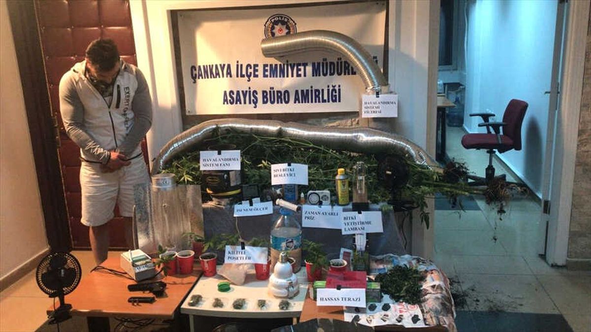 İç Mimar Evini Uyuşturucu Tarlasına Çevirmiş