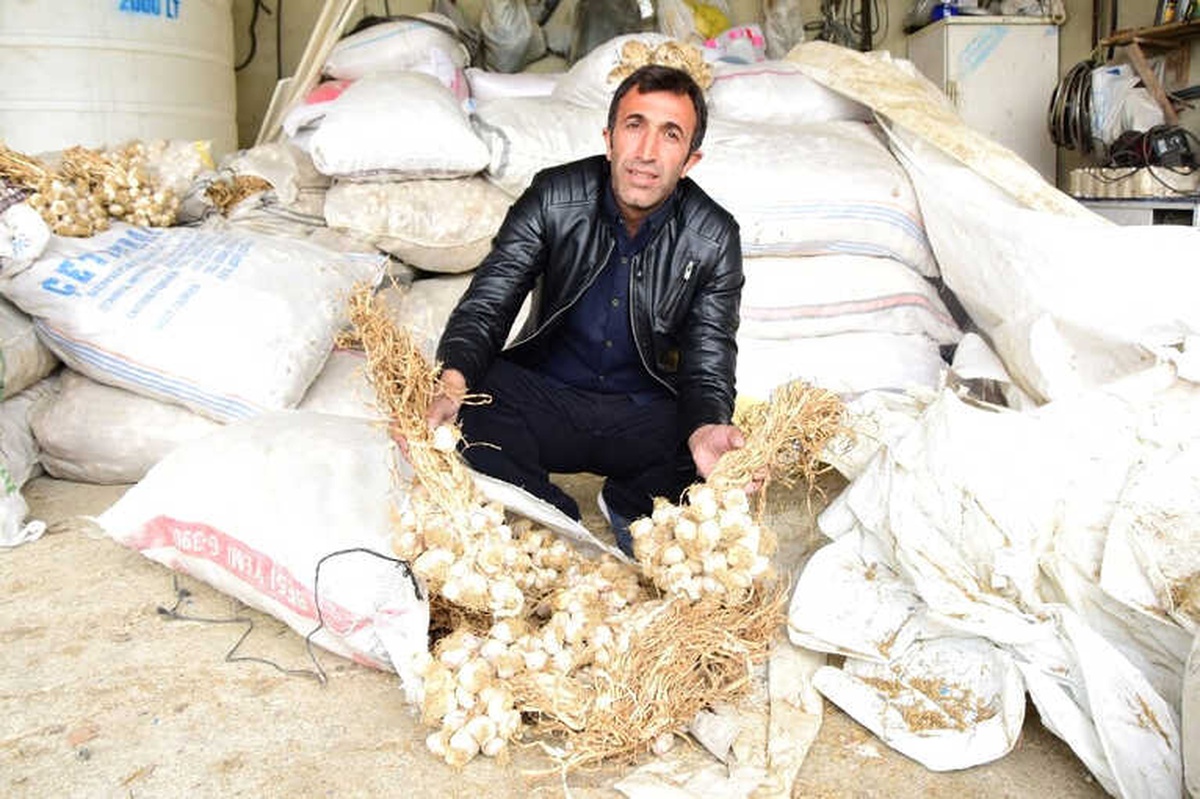 İpekyolu Belediyesinden Çiftçilere Destek