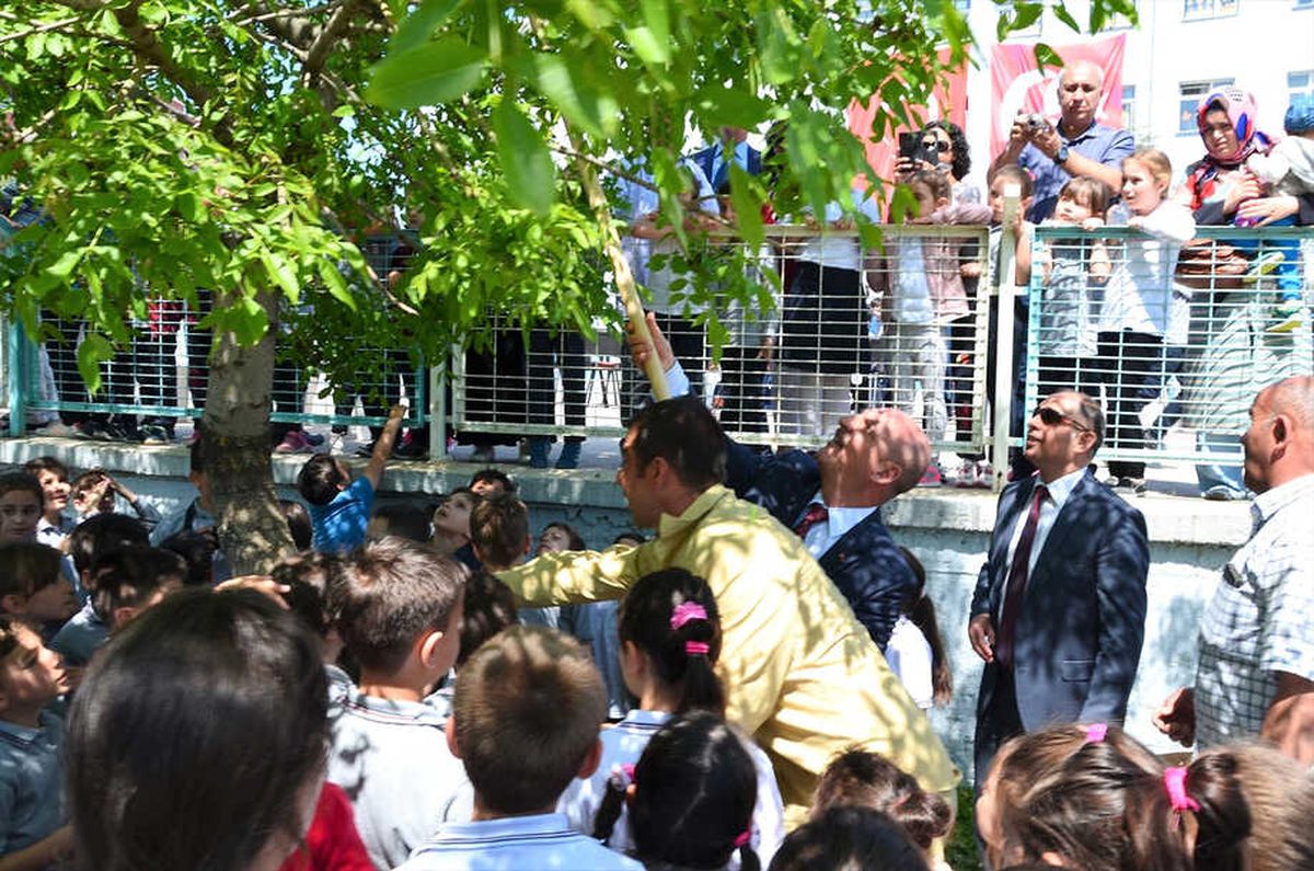 Kuşlar İçin Ağaçlara "Misafir Evi"