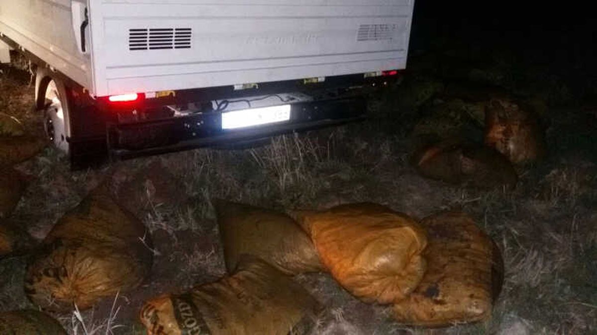 Muradiye\'de 4 Ton Kaçak Balık Ele Geçirildi