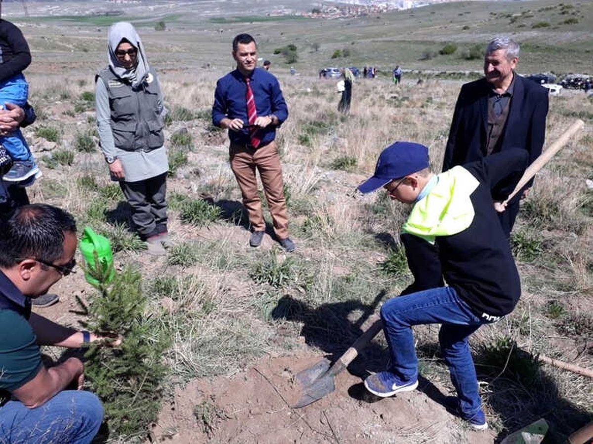 Afrin Şehitleri Anısına Fidan Dikildi