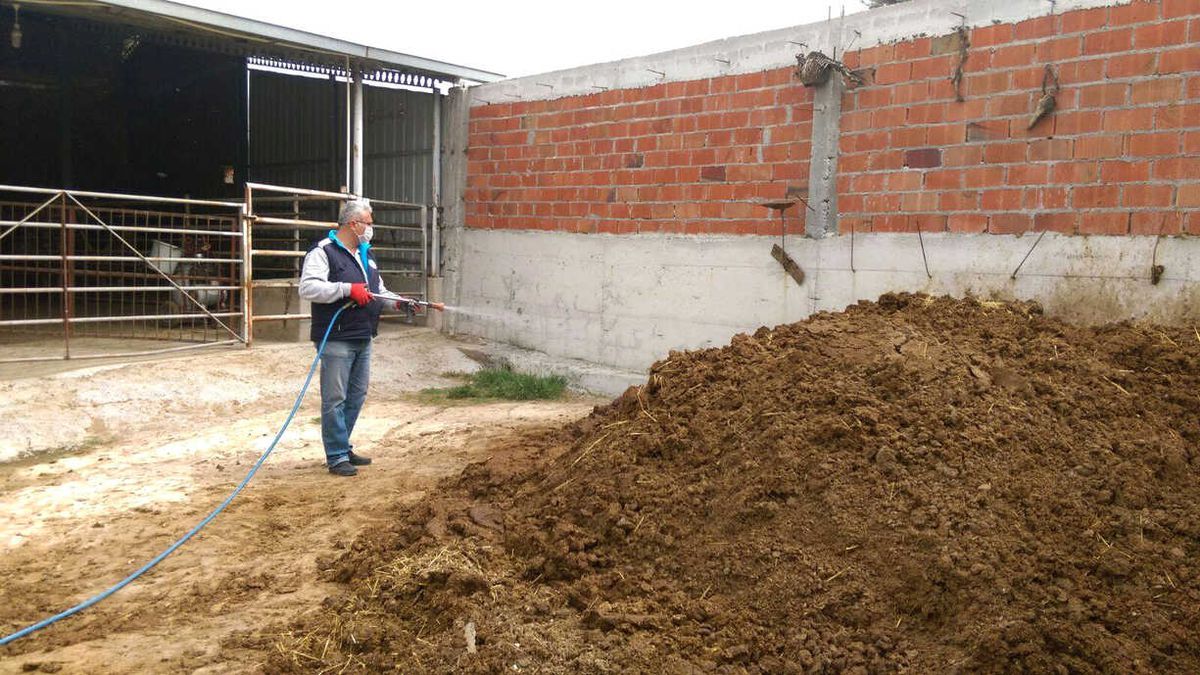 Haşare İle Mücadele Tüm Hızıyla Sürüyor