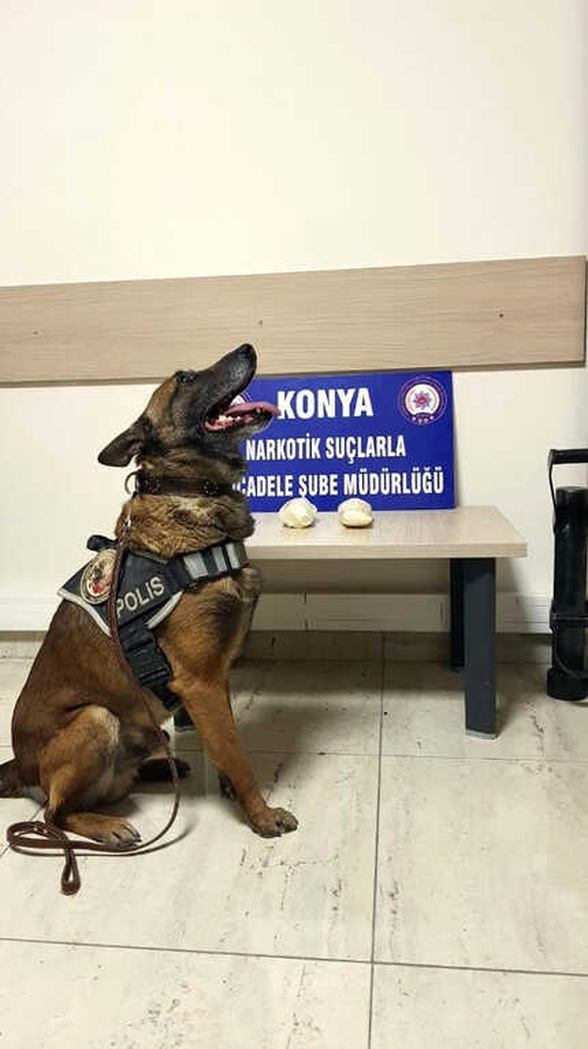 Narkotik Köpeği Oscar, Otobüste Uyuşturucu Madde Buldu