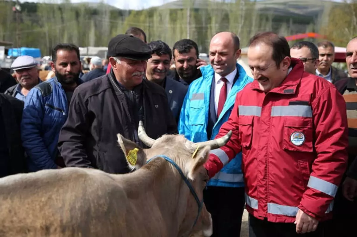 Vali Pehlivan Canlı Hayvan Pazarında İncelemelerde Bulundu