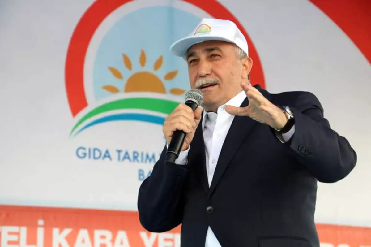 Bakan Fakıbaba: "Şanlıurfa Türkiye\'nin Kaba Yem İhtiyacının Yüzde 40\'ını Karşılayacak"