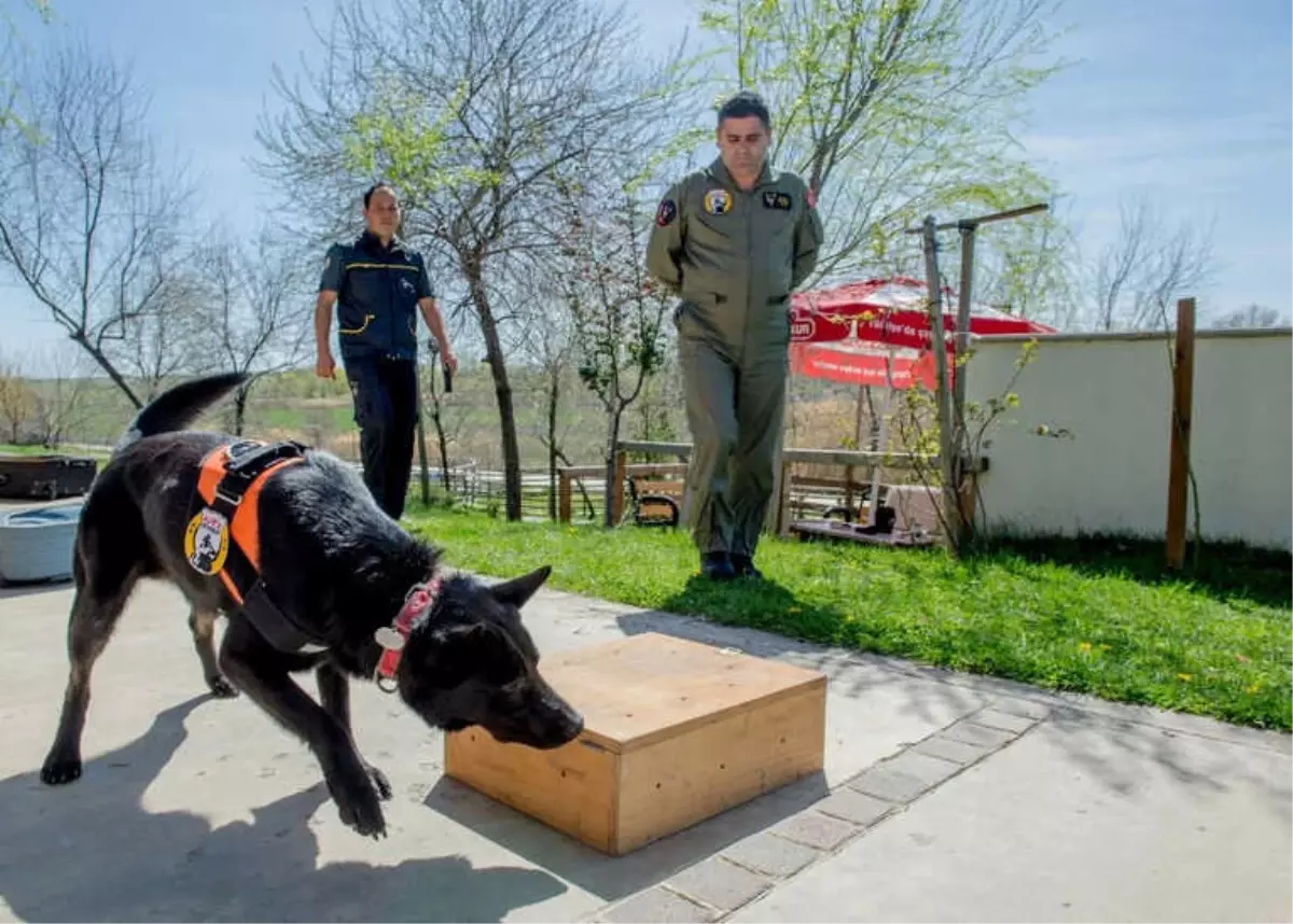 Başkent K-9 Köpeklerine Emanet