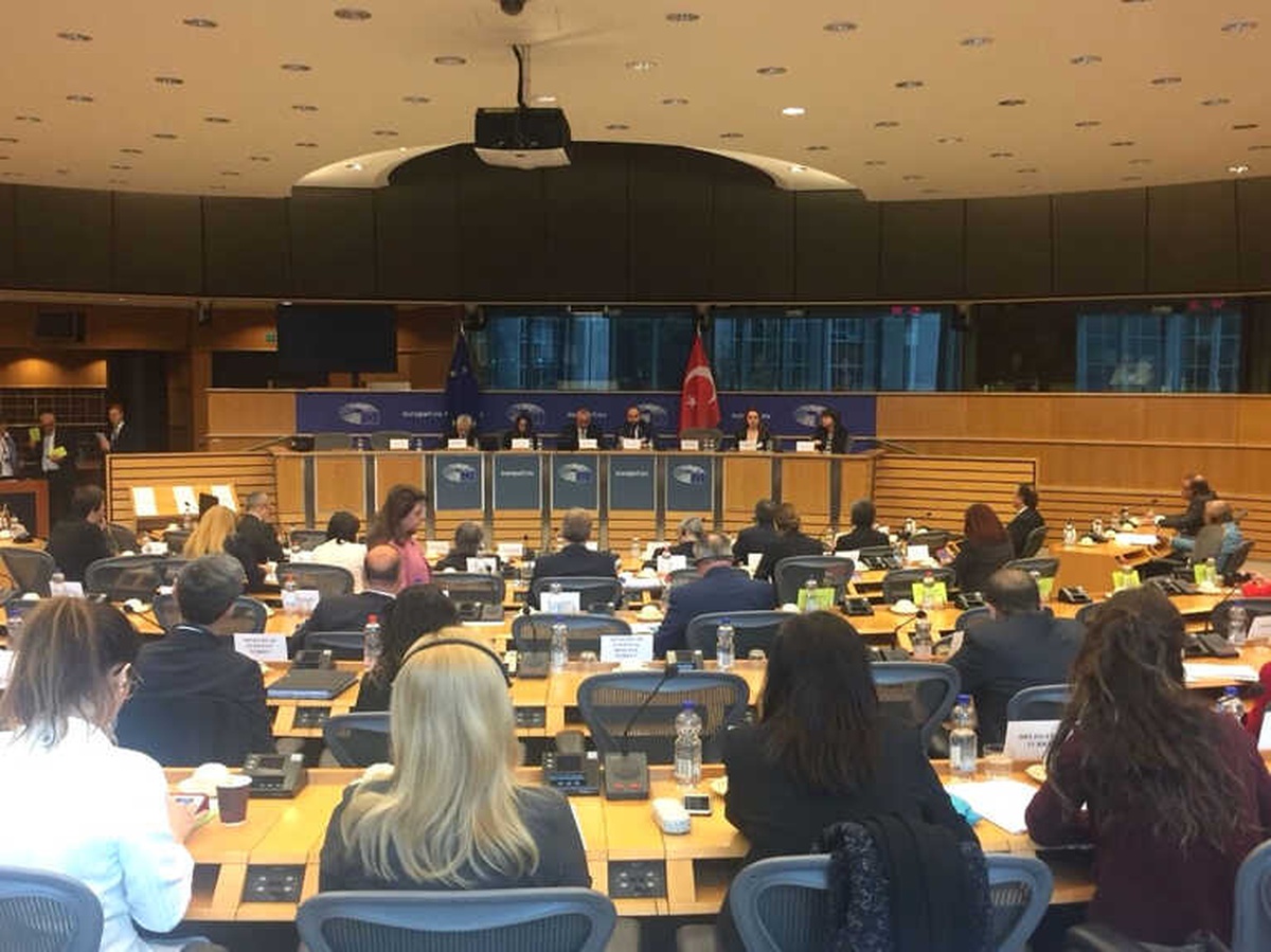 Karayel, Türkiye-Avrupa Birliği Karma Parlamento Komisyonu\'nun 77. Toplantısında Konuştu