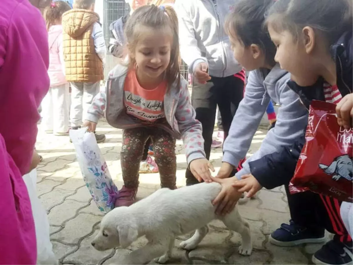 Minik Öğrenciler Sokak Hayvanları ile Buluştu