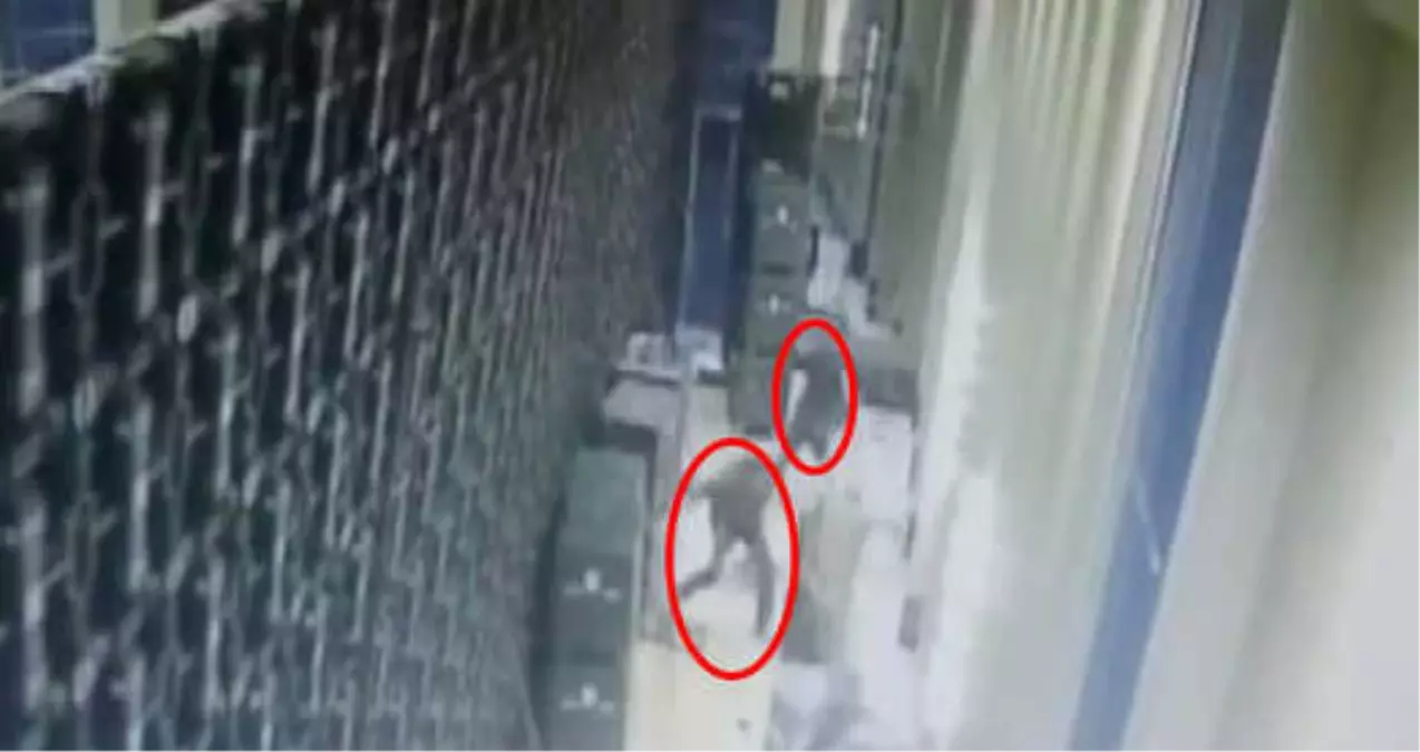 Toplantı Salonuna Kurulan Dev LED Ekranlar Böyle Devrildi